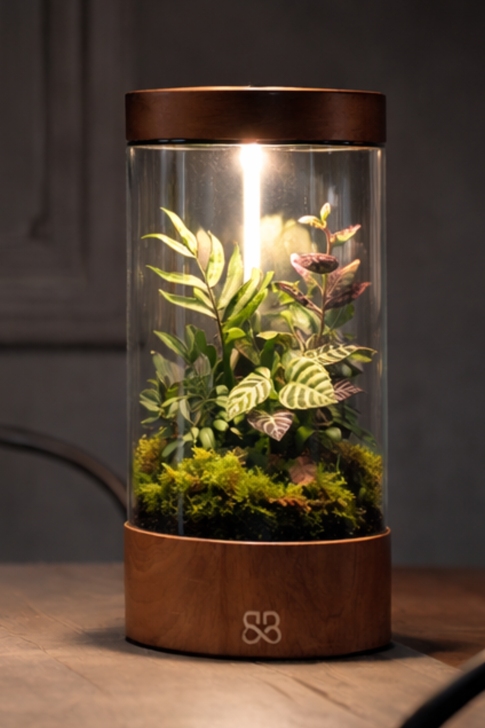 LUMA_VISUEL_06_00000